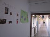 My Gallery (12/47)